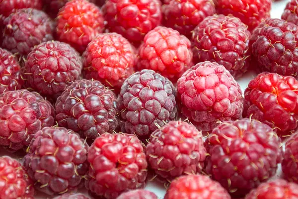 Gros plan sur une framboise fraîche - parfait pour un blog alimentaire ou un fond d'écran photo. — Photo