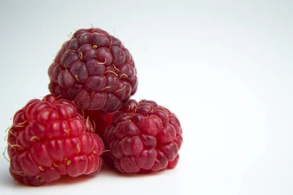 La framboise, fruit comestible d'une multitude d'espèces végétales du genre Rubus de la famille des roses. Riche en vitamines, antioxydants et fibres, les framboises sont un fruit délicieux avec de nombreux bienfaits pour la santé — Photo