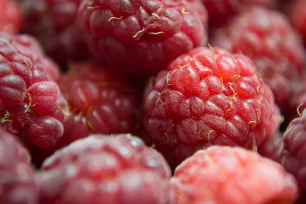 Beaucoup de framboises rouges fraîches faisant beau fond — Photo