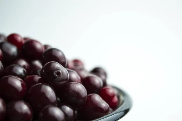 흰 배경에는 립 체리 가 있다. 베리 베리에서 열리는 열매의 유익에 대해 그 기사에 나오는 문구를 적어 보 십시오. — 스톡 사진