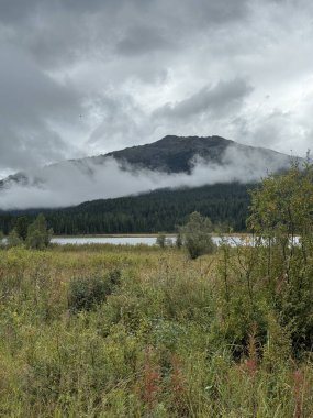 Yağmurlu sularda yansıyan sular, bulutlu gökyüzü ve durgun suyun yansıttığı yoğun bataklık ortamı.