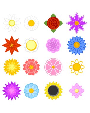 On altı çiçek kümesi