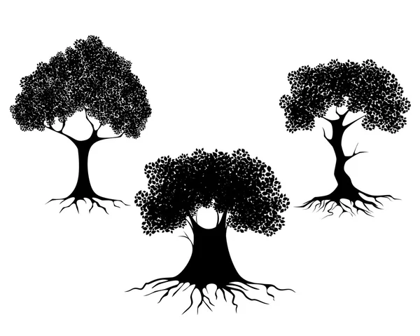 Three trees silhouettes — Stock Vector