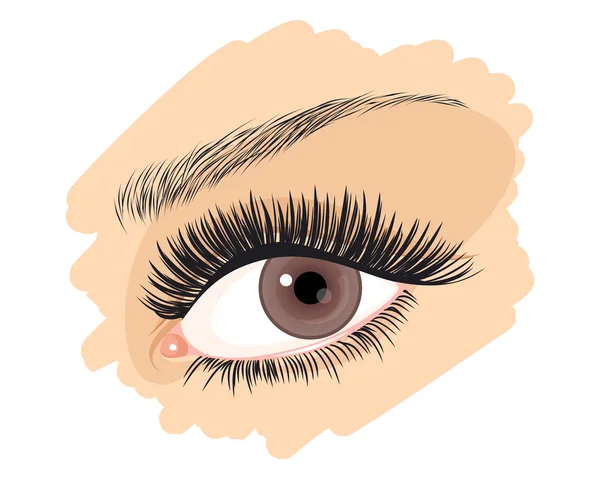 Girl's brown eye — Stock Vector