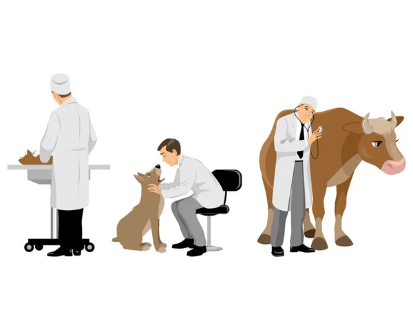 Veterinarios con animales domésticos — Vector de stock