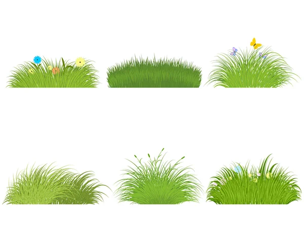 Green grass set — Stock Vector