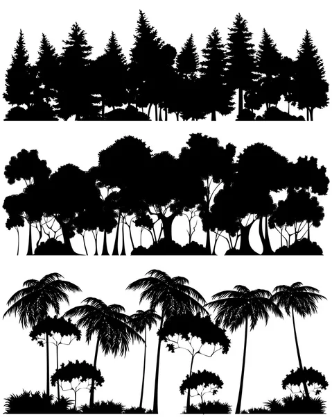 Tres siluetas de bosques — Archivo Imágenes Vectoriales