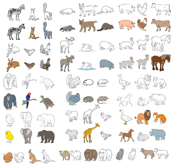 Different animals set — Stock Vector