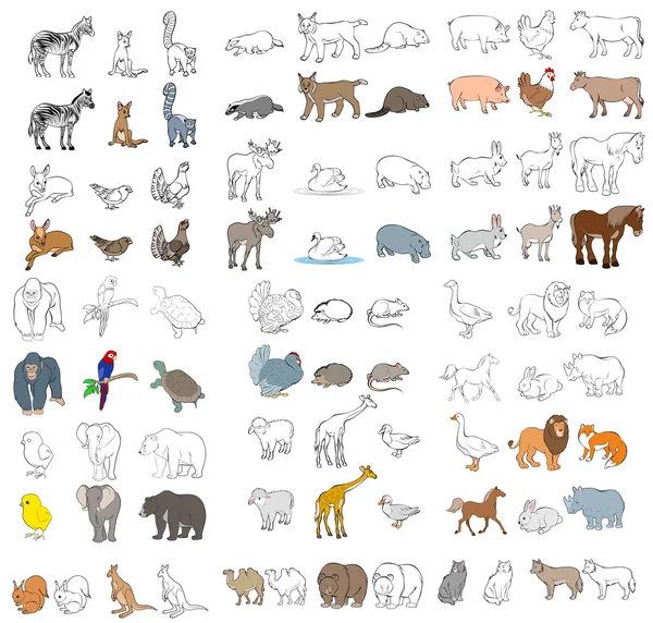 Diferentes animales — Vector de stock