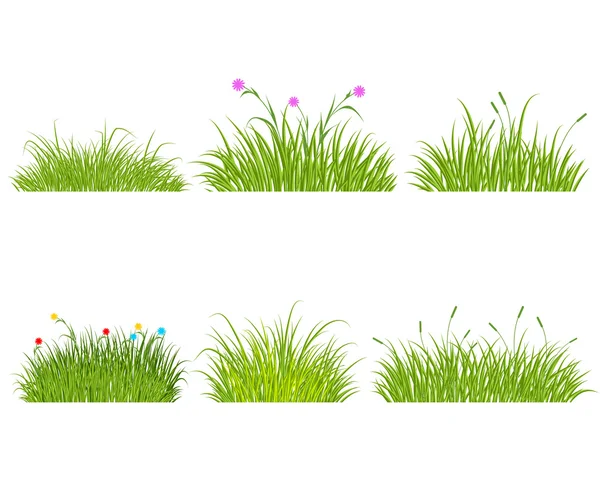 Green grass set — Stock Vector