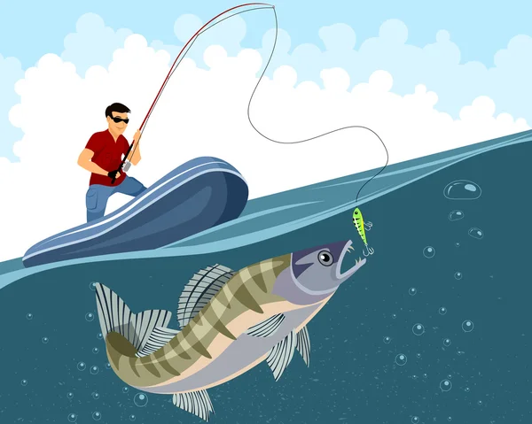 Zander balıkçı yakalar — Stok Vektör