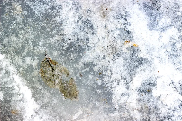 Eismuster mit gefrorenem Herbstblatt. Herabfallendes Laub bedeckt Eis. — Stockfoto