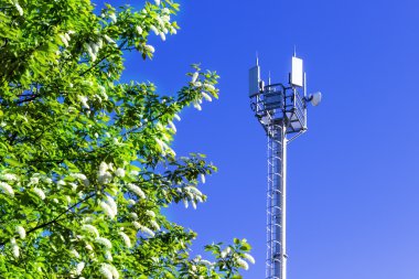 Mavi gökyüzü karşı hücresel anten