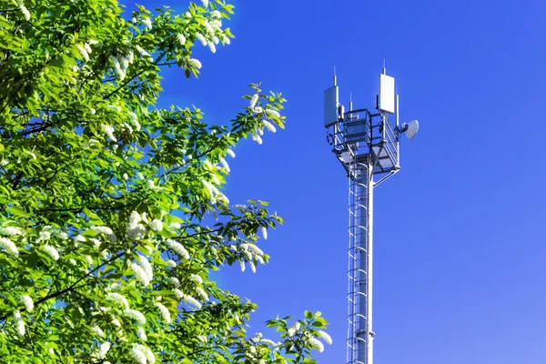 青い空を背景に携帯電話のアンテナ — ストック写真