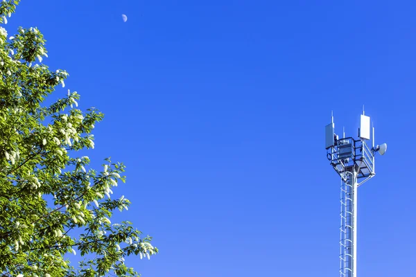 푸른 하늘에 대 한 셀룰러 안테나 — 스톡 사진