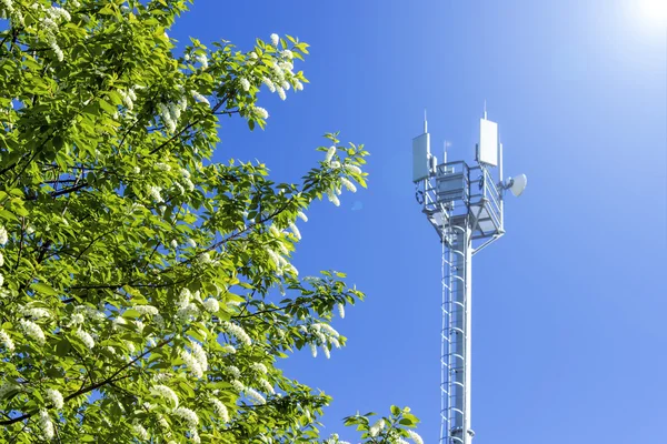 푸른 하늘에 휴대 전화 타워 — 스톡 사진