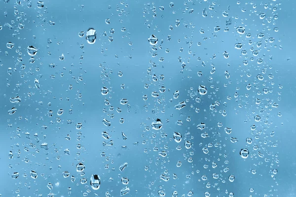 rain drops on car window