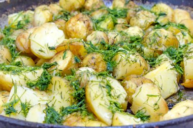 Taze dereotu ile kavrulmuş bebek patates