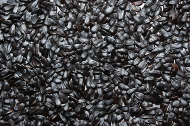 Siyah ayçiçeği tohumları. Doku veya arkaplan için