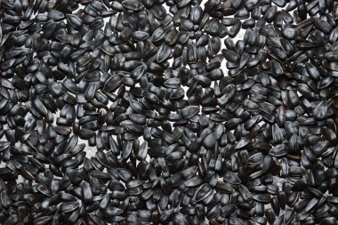 Siyah ayçiçeği tohumları. Doku veya arkaplan için