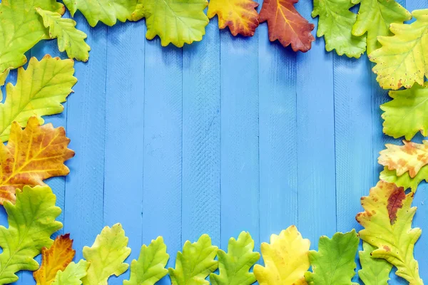 Осінній клен Листя, голки, сосна, шишки, жовтий на синьому фоні — стокове фото