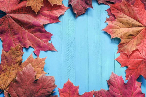 Осіннє червоне листя на синьому дерев'яному фоні — стокове фото