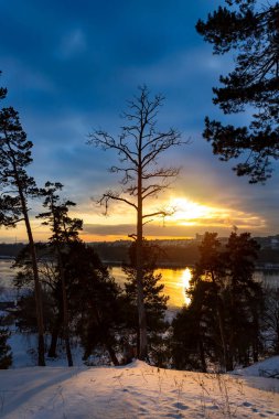 Güzel kış günbatımı Nehirdeki ağaçlarla