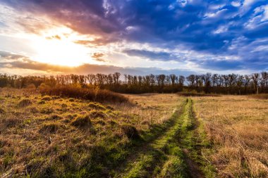 Bir bahar günü ormanın içindeki köy yolu