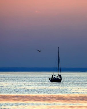 Günbatımı arka planında bir yatın ve martıların silueti. Dikey görünüm