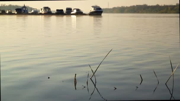 Kapal dan kapal pesiar berada di atas air di dermaga saat matahari terbit. — Stok Video