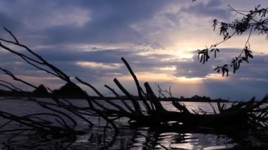 Arka planda siluet ağacı olan bir gölde yansıyan bulutlarla muhteşem bir günbatımı..