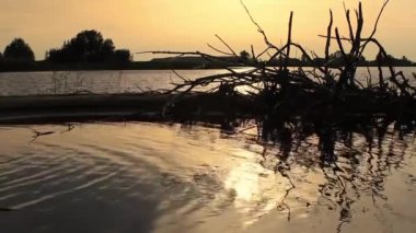 Arka planda siluet ağacı olan bir gölde yansıyan bulutlarla muhteşem bir günbatımı..