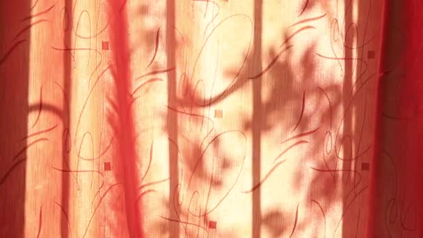 Silhouette Aus Blättern Und Spalieren Auf Einem Schwingenden Rosa Vorhang — Stockvideo