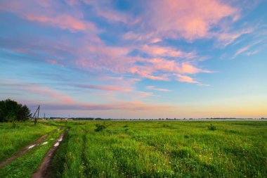 Arkaplanda yeşil çimenler bulutlu güzel bir günbatımı gökyüzü
