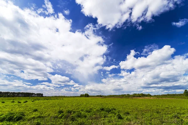 Campo Campo Fundo Natural Grama Verde Céu Azul Paisagem Nuvem — Fotografia de Stock