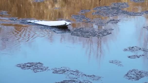 氷のドリフト中に川 ロシアの春 — ストック動画