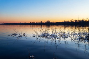 Donmuş çimlerin üzerinde buz saçağı oluşumu. Kışın donmuş çimenler.