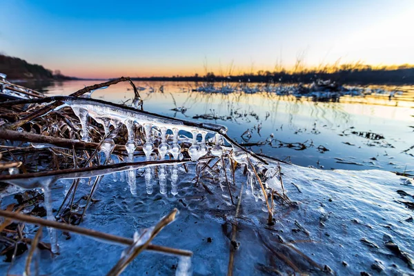 Eiszapfen bilden sich über gefrorenem Gras. Gefrorenes Gras im Winter. — Stockfoto