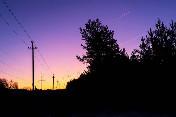 Siluetas de árboles contra un cielo rosado y púrpura al amanecer. —  Fotos de Stock