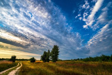 Tarlaya giden yol ve bulutlu gökyüzü. Sonbahar ve yaz manzarası.