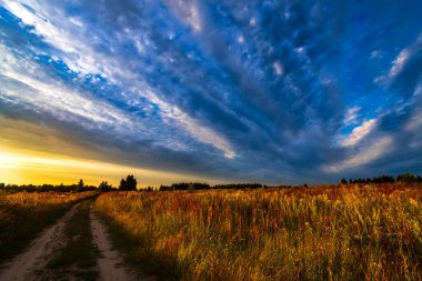 Gün batımında bulutlarla tarlaya ve gökyüzüne giden yol. Yaz manzarası.