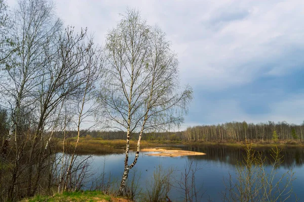 Das Erwachen der Natur. Frühlingslandschaft mit Bäumen und Gras am Fluss. — Stockfoto