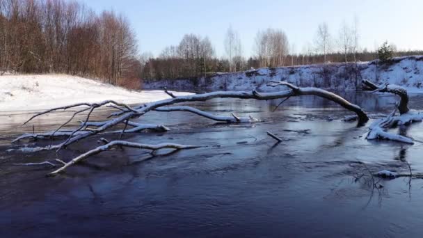 Río durante la deriva de hielo. Primavera en Rusia. — Vídeo de stock