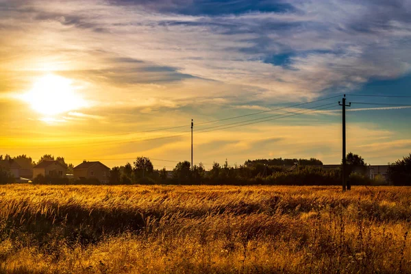 Verano dorado y soleado amanecer en el campo. — Foto de Stock