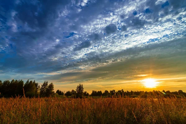 Amanecer soleado dorado del verano con cielo hermoso en el campo. — Foto de Stock