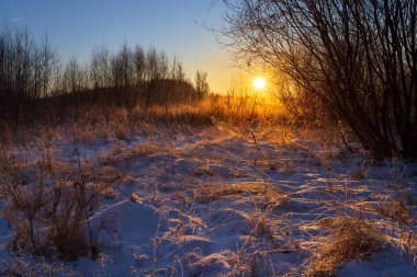 Şafakta kış güneşinin altında kuru çimenler. Güzel kış manzarası