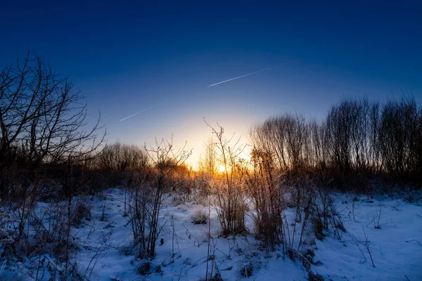 Träd silhuett vid floden i gryningen skymningen före soluppgången på vintern kall morgon. — Stockfoto