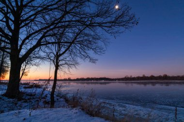 Gün doğmadan önce şafak vakti, nehrin kenarındaki ağaçların gölgesi soğuk kış sabahında.