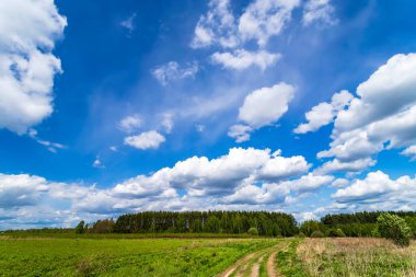 Beyaz bulutlu ve yeşil çimenli yaz manzarası.