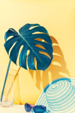 Cam vazoda canavar yaprağı ve sarı arka planda hasır şapka. Turizm ve seyahat konsepti. Dikey görünüm.